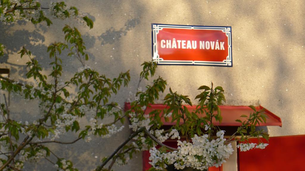 Křivoklát Orli Hnizdo At Chateau Novak المظهر الخارجي الصورة